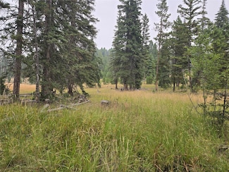 Lot 86 Maple Leaf Rd, Goldcreek, MT 59733