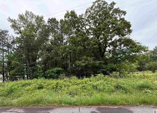 694 Green Plain Rd, Hazel, KY 42049