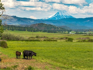 0 Reese Creek Rd Unit 220201733, Eagle Point, OR 97524
