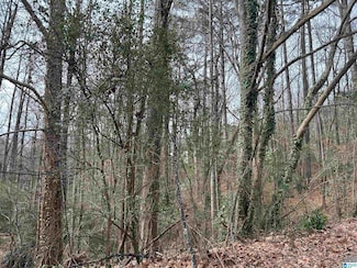 5455 Vicksburg Cir Unit 38, Birmingham, AL 35210