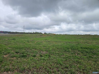 Lot 1 Elkwood Section Rd, Hazel Green, AL 35750