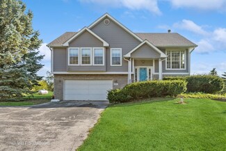 10317 W Steger Rd, Frankfort, IL 60423