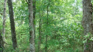 0 Tbd State Route Y, Mountain View, MO 65548