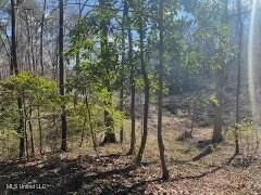 LOT 13 Turkey Creek Rd, Natchez, MS 39120