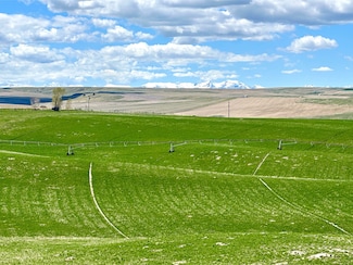 tbd Camp Creek Rd, Manhattan, MT 59741