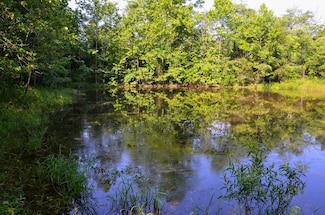 0 Coffman Rd Unit Lot WP002 20945157, Farmington, MO 63640