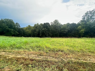 118 Panorama Dr, Cape Fair, MO 65624