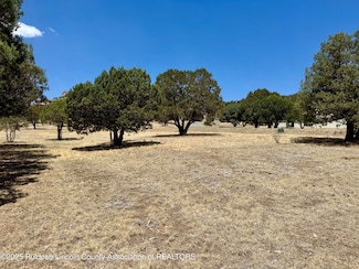 104 Antler Dr, Alto, NM 88312