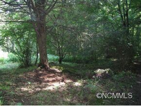 163 Old Ranger Rd, Barnardsville, NC 28709