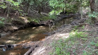 Tract 10 Airport Rd - Piney Creek Acres, Rockwood, TN 37854