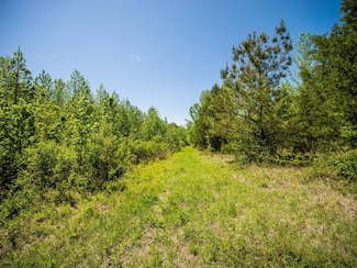 382-400 Robinson Springs Rd, Flora, MS 39071
