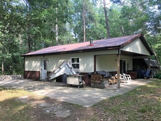 10217 S Yates Trail Rd, Baldwin, MI 49304