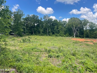Lot 9 Laura Boling Loop Rd, Strawberry Plains, TN 37871