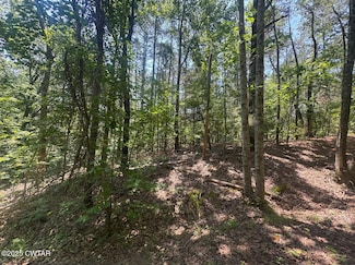 154 Oak Grove Rd, Middleton, TN 38052
