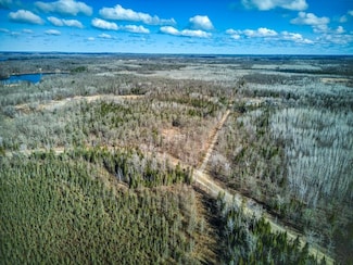 34780 Freestone Rd, Deer Lake, MN 55744