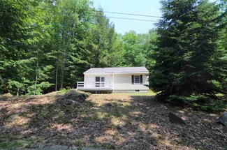 491 Rand Pond Rd, Goshen, NH 03752