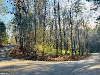 Lot 622 Sapulpa Ct, Ellijay, GA 30540