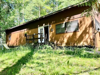 168 Bunyon Wilson Rd, Pisgah Forest, NC 28768