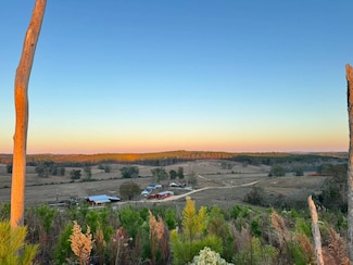 01 County Road 10, Winfield, AL 35594