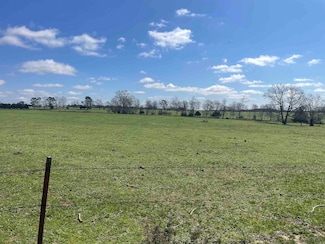 935 lot 25 Goff Rd, Quitman, AR 72131