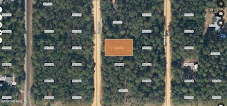 00000 David Ave, Interlachen, FL 32148