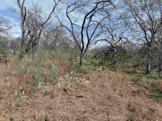 Lot 294 Pinemont St, Kingsland, TX 78639