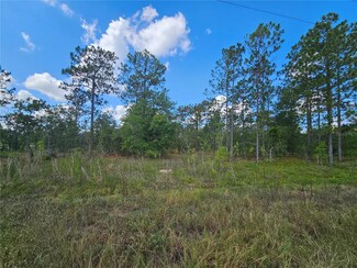 0 SE 73rd Ln Unit MFROM681028, Morriston, FL 32668
