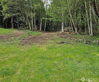 0 267th Avenue Ct E, Carbonado, WA 98323