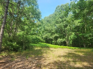 7373 S Riverbend Rd Unit Lot 53, Branch, MI 49402