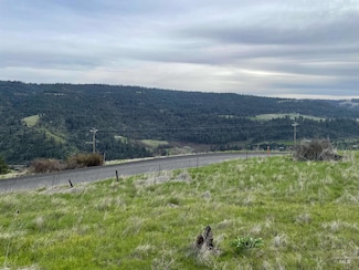 TBD Starthistle Ln, Lenore, ID 83541