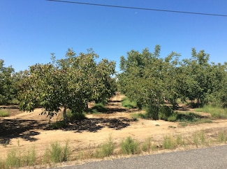 23632 Campo Rd, Gerber, CA 96035