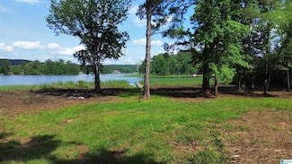 0 Cedar Shores Dr Unit 12 21420327, Sylacauga, AL 35151