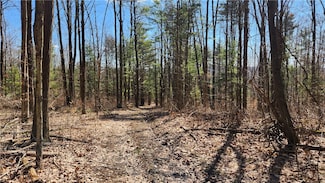 0 County Road 13, Urbana, NY 14810