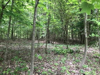 512 Wilderness Way, Dunlap, TN 37327