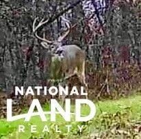 151 Church Hill Rd, Natchez, MS 39120