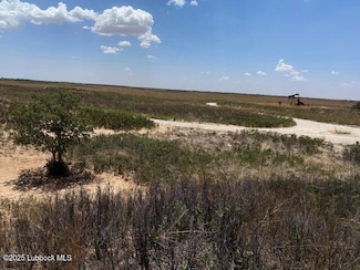 1585 Cr 95, Morton, TX 79346