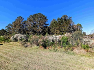 3028 Newcastle Loop Unit Lot 24, Myrtle Beach, SC 29588