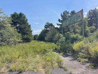 0 Hwy 65 S, Clinton, AR 72031