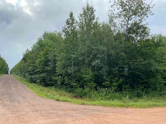 ON Joe Snow Rd Unit Sale 2044-1, Merrill, WI 54452