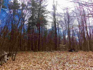 lot 2 Charlestown Rd, Acworth, NH 03601