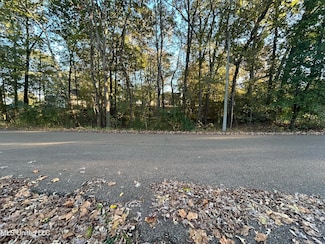 4247 Bienville Rd, Nesbit, MS 38651