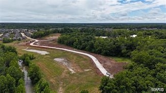 356 Wilmer Meadow Dr, Wentzville, MO 63385