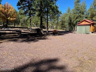 41874 U S 180, Nutrioso, AZ 85932