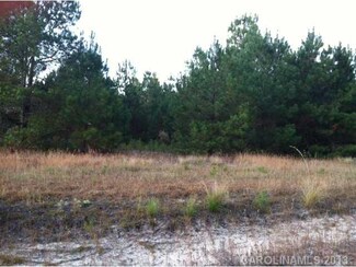 0000 Campbell Rd, Jefferson, SC 29718