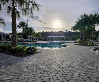 16890 Forge Surf St, Land O' Lakes, FL 34638