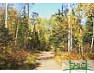 3519 Budreau Ave, Savannah, GA 31408