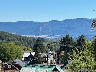 203 E Nevada Ave, Roslyn, WA 98941