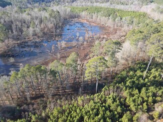 00 Graysonia Rd, Antoine, AR 71922