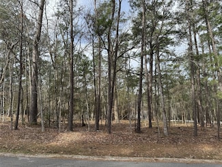 91 S Fairway Loop, Coldspring, TX 77331