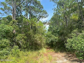 0 Duke St Unit 4089050, Pass Christian, MS 39571
